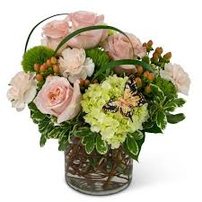 When you give them some water, or when god sends a shower of rain upon. Norristown Pa Flowers Norristown Pennsylvania Florist Joseph Genuardi Florist