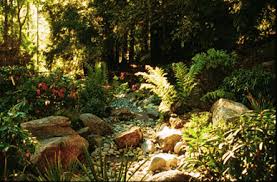 Pin On Landscape
