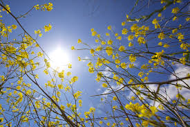 Enjoy great products, at better prices every day. How To Prepare Your Garden For Spring