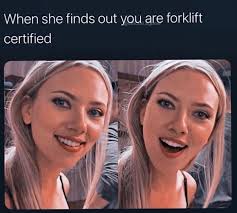 Tony hawks pro certified forklift 2 meme. 48 Dank And Normie Memes From Both Sides Of The Humor Spectrum Funny Gallery