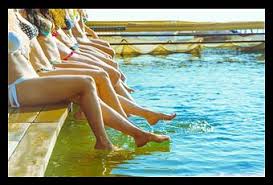 If you own your pool, congratulations, the first step is done! Backyard Pool Party Hostess Guide Paperblog