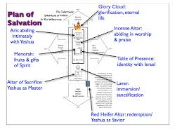 It goes into much detail in a nutshell, the seven seals are followed by the seven trumpet judgments of the wrath of god, after. The 7 And 8 Steps In The Tabernacle As They Relate To Biblical Marriage And The Feasts Hoshana Rabbah Bloghoshana Rabbah Blog