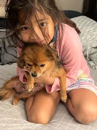 Lost & Found Pets of Victoria, Tx