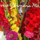 Bellevue Farmers Market