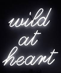 True reflections of black badge, they are striking in aesthetic and subversive in attitude. Neon Signs