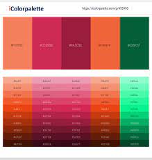 It goes well with fashion and beauty brands. 12 Latest Color Schemes With Salmon And Dark Green Color Tone Combinations 2021 Icolorpalette