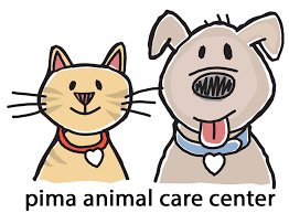 Puppies and kittens who are less than 6 months old have a $50 adoption fee; Pima Animal Care Center