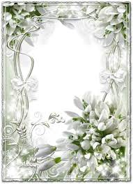 A wedding bouquet is a special accessory for every bride. White Transparent Wedding Frame With Snowdrops