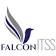 Falcon IT & Staffing Solutions