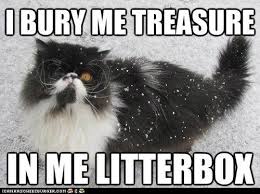 Pirate Cat Can You Find The Buried Treasure Pirate Cat Animal Puns Funny Animals