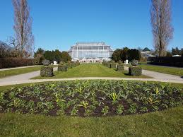 Der Fruhling Kommt Nach Hause Botanischer Garten Ladt Zum Foto Spaziergang Ein Steglitz