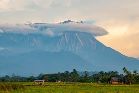 4.7%) while sarawak improved to 4.7 per cent (2016: Is Tourism In Sabah Dead