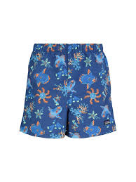 Patagonia Shorts Baby Baggies Blue Nickis Com
