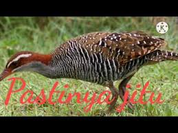 I'm from indonesia i want to make a. Video Sintar