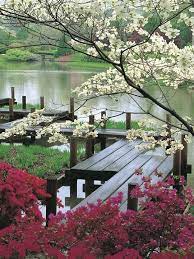 Pin On Japanese Gardens