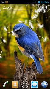 Birds 3d Pour Android A Telecharger Gratuitement Fond D Ecran Anime Oiseaux 3d Sous Android Créez vos propres fonds d'écran animés avec wallpaper engine, un logiciel en accès anticipé peu onéreux. fond d ecran anime oiseaux 3d