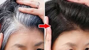 Comment Noircir Naturellement Les Cheveux Blanc En 7 Jours A La Maison Youtube Cheveux Blancs Produit Cheveux Epaissir Les Cheveux