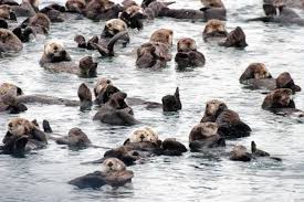 There's probably a better way to do whatever you're trying to do. Collective Nouns For Groups Of Animals Mental Floss