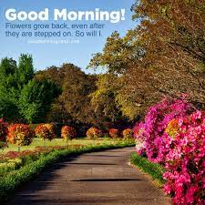 We did not find results for: Good Morning Natural Garden Flower Images Good Morning Images Quotes Wishes Messages Greetings Ecards
