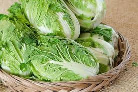 Image result for Brassica rapa
