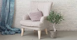 Bei einer dunklen überwinterung wirft das bäumchen die blätter ab. Olivenbaum Uberwintern 5 Einfache Tipps Und Regeln