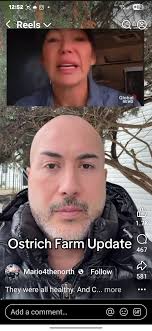 Conspiracy theorists spreading misinformation online