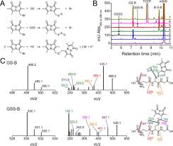 We did not find results for: Acidity And Nucleophilic Reactivity Of Glutathione Persulfide Journal Of Biological Chemistry