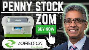 Investors who anticipate trading during these times are strongly advised to use limit orders. Zomedica Penny Stock Zom Price Prediction Zom Stock Forecast Overview Buy Zomedica Zom Stock Youtube