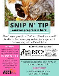 We did not find results for: Acct Philly If You Haven T Heard Snip N Tip Vouchers Facebook
