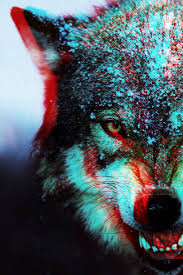 We did not find results for: Trippy Wallpaper Hd Wolf 4724x7087 Wallpaper Teahub Io