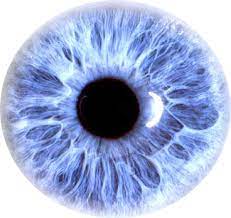 Pin By Taukeer Editz On Png Eye Drawing Iris Eye Eye Art