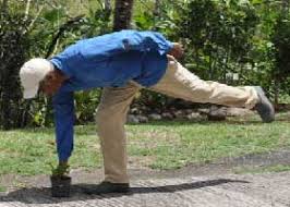 Rever De Ramasser Signification Et Interpretation En Islam