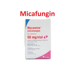 Image result for Micafungin