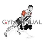 Aside from the deltoids, the exercise also works smaller surrounding stabilizing muscles, including the serratus anterior (above the ribs), trapezius (upper back), pectorals (chest) and biceps (upper arms), says monica jones, cpt, program director. Dumbbell Incline Rear Lateral Raise Animated Gifs