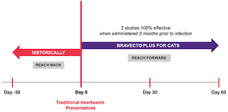 Bravecto Plus For Cats Flea Tick Heartworm Intestinal