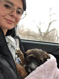 What's the weight of your 1-year-old dog?