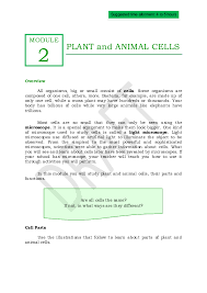 Different kinds of animals have different both plant and animal cells have vacuoles, which are like storage containers for nutrients, food, or waste. Pdf Module Loise Tumala Academia Edu