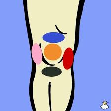 Pin On Health