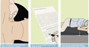 Neurological Assessment 1 Assessing Level Of Consciousness