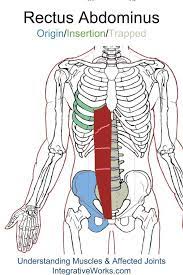 Your lower back (lumbar spine) is the anatomic region between your lowest rib and the upper part of the buttock.1 your spine in this region has a natural inward these bones are connected at the back. Pin On Yoga