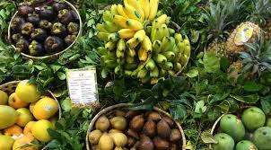 Check spelling or type a new query. 26th Anniversary Ukk Revolusi Oranye Penyelamat Buah Buahan Lokal