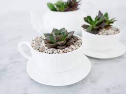 Check spelling or type a new query. Diy Teacup Planters Happily Eva After