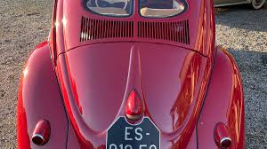 Image result for Medium Brown 1949 Beetle
