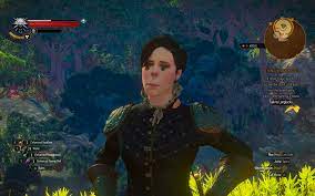 Apparently this is what happens when you use free-cam on Syanna. : r/witcher