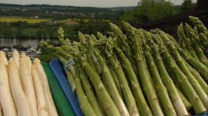 Dabei sagt die farbe nichts über die sorte aus, denn die färbung der schmackhaften stangen entsteht durch sonnenstrahlung. Gruner Spargel Eigenanbau Im Hausgarten Br Wissen
