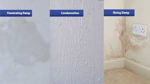 How To Find And Fix Your Damp Problems - Youtube
