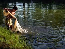 I built the pond you see here for our backyard. How To Make Fishpond In Your Backyard