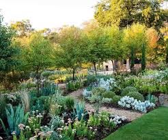 Magnificent Adelaide Garden Grown From Recycled Materials Garden Landscape Design Garden Layout Back Garden Design