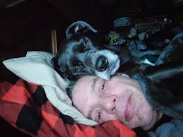 Aussie pom puppies in Indianola IA need new homes