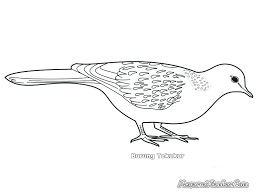 Terkukur walpeper / lihat ide lainnya tentang kartun, ilustrasi, lukisan disney. Mewarnai Gambar Burung Tekukur Mewarnai Gambar
